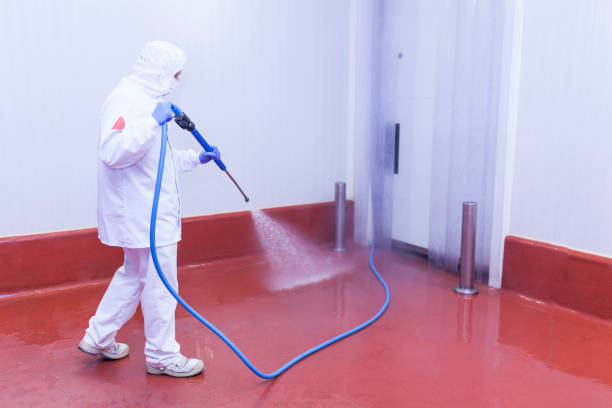Best Sign and Awning Cleaning  in Erwinville, LA